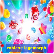 rabies t lagomorph